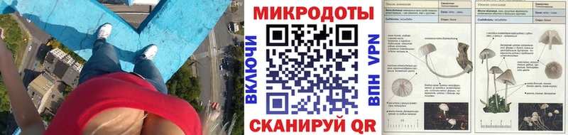 Галлюциногенные грибы Magic Shrooms  Снежногорск 